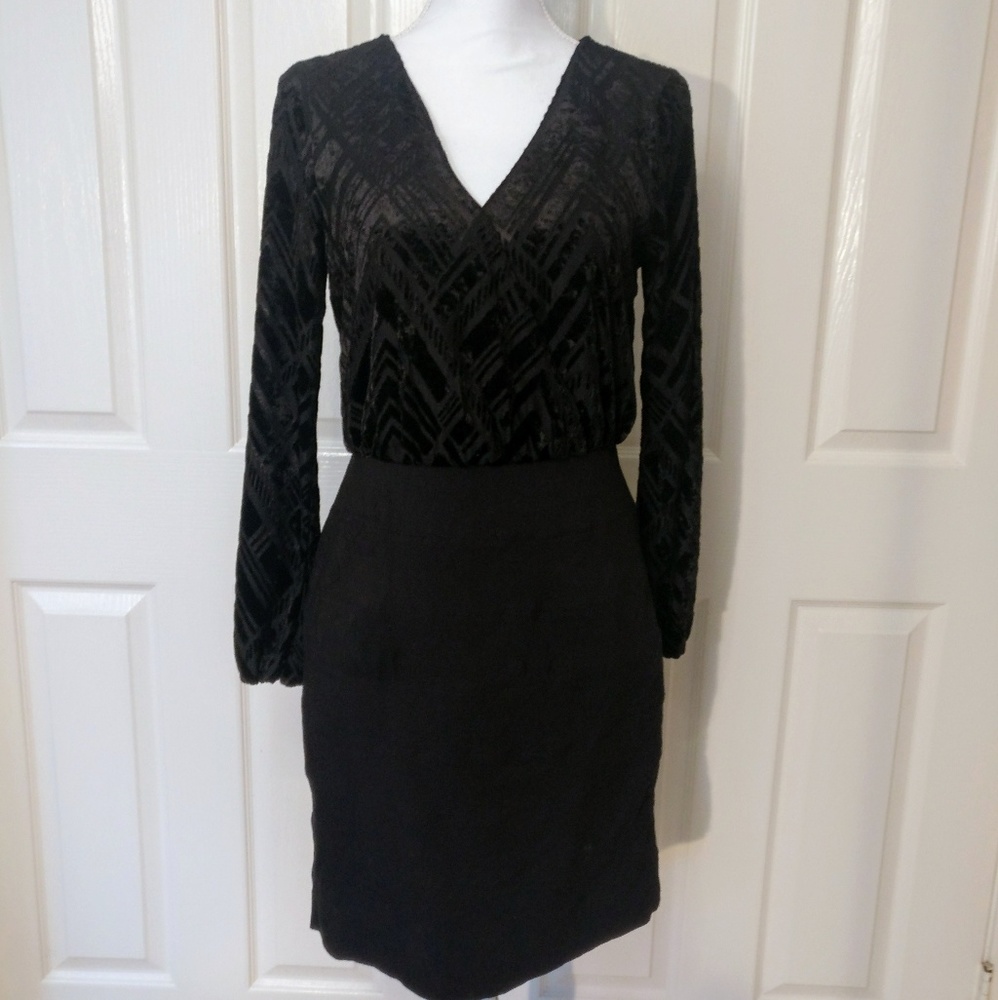 Nicole by Nicole Miller Long Sleeved Sheer Dress